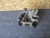2022-2025 Hyundai Tucson Rear Right/Passenger AWD Used OEM Steering Knuckle Spindle
