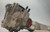 2020-2022 Ford Escape Rear Axle Used OEM Rear Differential Carriers used OEM rear differential carrier assembly