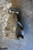 12-16 Mercedes R172 SLK350 Rear Axle Differential Carrier Diff 3.07 OEM used OEM rear differential carrier assembly