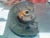 2005-2006 Hyundai Santa Fe Front Right/Passenger Used OEM Steering Knuckle Spindle