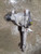 2018-2020 Ford F-150 Front 3.73 Ratio Used OEM Front Differential Carriers used OEM front differential carrier assembly