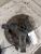 2017-2025 Chrysler Pacifica 4218898 Front Right/Passenger FWD Used OEM Steering Knuckle Spindle