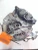2017-2025 Chrysler Pacifica 68189018AC Front Right/Passenger With Hub Used OEM Steering Knuckle Spindle