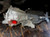 2013-2016 Hyundai Santa Fe Rear Axle Used OEM Rear Differential Carriers used OEM rear differential carrier assembly