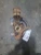 2017 Honda Pilot 4384029 Front Right/Passenger Used OEM Steering Knuckle Spindle