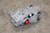 2006-2018 Toyota RAV4 Rear Axle 2.28 Ratio Used OEM Rear Differential Carriers used OEM rear differential carrier assembly
