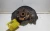 2003-2005 Honda Element Front Right/Passenger ABS Used OEM Steering Knuckle Spindle