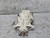 2018-2020 Rear Differential Axle Carrier Mercedes W222 S560 S450 Used OEM Rear Differential Carriers used OEM rear