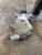 2007-2010 BMW X5 3.0L Rear Gasoline 4.44 Ratio Used OEM Rear Differential Carriers used OEM rear differential carrier