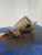 2013-2016 Scion Frs Rear Axle Differential Carrier AT Used OEM Rear Differential Carriers used OEM rear differential carrier