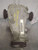 2011 Audi A4 2.0T Rear Carrier Differential Krr 0BC500043L Used OEM Rear Differential Carriers used OEM rear differential