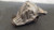 2002-2005 Ford Explorer Rear 3.55 Ratio 3L1Z4209CC Used OEM Rear Differential Carriers used OEM rear differential carrier