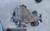 2007-2008 Infiniti G35 G37 Rear Locking AT 3.692 Used OEM Rear Differential Carriers used OEM rear differential carrier
