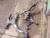Land Rover Discovery Front Used OEM Steering Knuckle Spindle