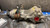 2008-2015 Nissan Rogue Rear AWD 5.173 Ratio Used OEM Rear Differential Carriers used OEM rear differential carrier assembly