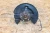 2015-2019 Lincoln MKC Front Right/Passenger RWD With Hub Used OEM Steering Knuckle Spindle