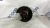 2013-2014 Lincoln MKZ Rear Right/Passenger AWD With Hub Used OEM Steering Knuckle Spindle