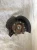 2010-2013 Mazda Mazda3 Front Right/Passenger Used OEM Steering Knuckle Spindle