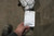 2018 BMW BMW X3 Front 3.38 Ratio Used OEM Differential Carrier Assembly used OEM differential carrier assembly