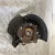 2010-2013 Mazda Mazda3 Right/Passenger Used OEM Steering Knuckle Spindle