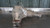 2013-2021 Dodge RAM 1500 Front Axel Ratio 3.21 Used OEM Differentials & Carriers used OEM differential carrier assembly