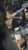 2023 Toyota GR86 Rear Axle AT 3.90 Rati Used OEM Differential Carrier Assembly used OEM rear differential carrier assembly