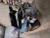 2007 Mazda CX-9 Front Right/Passenger Used OEM Steering Knuckle Spindle