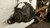 Rockwell RR20-145 Rear Differential/Carrier 3.73 Ratio (6927211 Used OEM Rear Differential Carriers used OEM rear