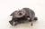 2019 Mazda CX-9 Front Right/Passenger With Hub Used OEM Steering Knuckle Spindle
