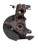 2019-2024 Mazda Mazda3 Front Left/Driver With Hub Used OEM Steering Knuckle Spindle