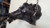 2020-2014 Meritor Mr X Rear Carrier , 2.64 Ratio (7224175 Used OEM Rear Differential Carriers used OEM rear differential