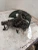 2014-2018 Mazda Mazda3 4171854 Front Right/Passenger Used OEM Steering Knuckle Spindle