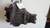 2006 Rockwell RR20-145 Rear Differential/Carrier 3.42 RATIO,5343479 Used OEM Rear Differential Carriers used OEM rear