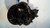 2009 Rockwell RR20-145 Rear Carrier/Differential 3.42 RATIO,4764704 Used OEM Rear Differential Carriers used OEM rear