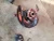 2019-2023 Mazda CX-9 1908319 Front Right/Passenger Used OEM Steering Knuckle Spindle