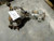 2015-2020 Front Carrier 3.08 Ratio 23312175 fits Suburban 1500 2860089 Used OEM Front Differential Carriers used OEM front