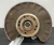2012-2015 Mercedes-Benz Rear Left/Driver With Hub Used OEM Steering Knuckle Spindle