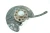 2003-2011 Mercedes-Benz E-Class Front Left/Driver With Hub With Bearing Used OEM Steering Knuckle Spindle
