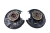 1990-2002 Mercedes-Benz Rear Left & Right Used OEM Steering Knuckle Spindle