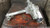 2021-2023 Ford Ranger Front Carrier Used OEM Front Differential Carriers used OEM front differential carrier assembly