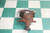 2015-2023 Mustang GT 3.15 Gear Ratio Rear End Used OEM Differentials & Carriers used OEM differential carrier assembly