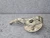 Mercedes-Benz GLS450 Front Right/Passenger Used OEM Steering Knuckle Spindle
