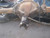 1970 Camaro 10 Bolt Drum Differential Rearend As Core Used OEM Other Used Auto Parts used OEM used auto part