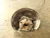 2014-2020 MINI Cooper Front Right/Passenger FWD With Hub Used OEM Steering Knuckle Spindle