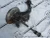 2019-2020 MINI Cooper Rear Left/Driver Used OEM Steering Knuckle Spindle