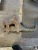 2005-2019 Nissan Frontier Front Left/Driver Used OEM Steering Knuckle Spindle