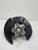 2025 Nissan Murano Rear Right/Passenger AWD With Hub Used OEM Steering Knuckle Spindle