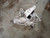 2023 Carrier 3.45 Ratio for Jeep Grand Cherokee 2728827 Used OEM Differentials & Carriers used OEM differential carrier