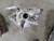 2023 Carrier for Grand Cherokee 2751886 Used OEM Differentials & Carriers used OEM differential carrier assembly