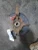 2015 Nissan Sentra 4274092 Front Right/Passenger Used OEM Steering Knuckle Spindle